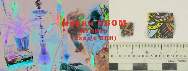 хмурый Алексин