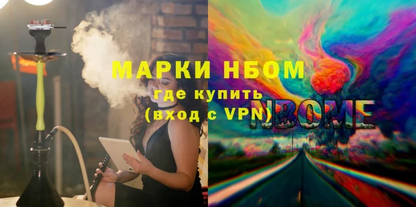 хмурый Алексин
